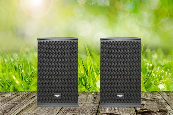 đành gia Loa Paramax Pro S10