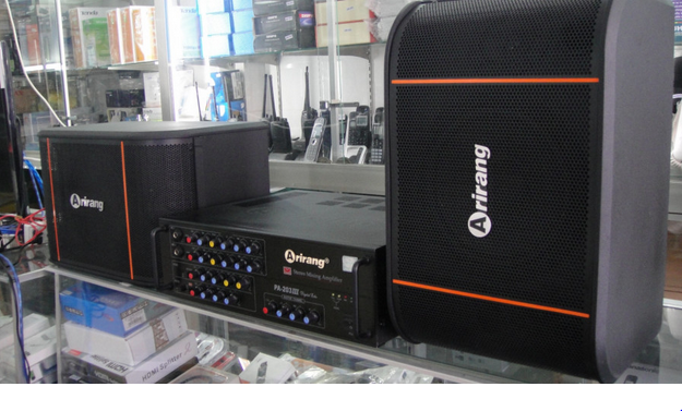 loa Arirang TSE-T4 3