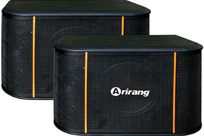 loa Arirang TSE-T4 5