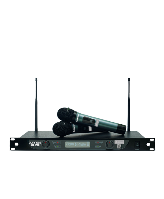 micro Guinness 300i 5