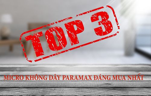 Paramax SM-1000 Smart