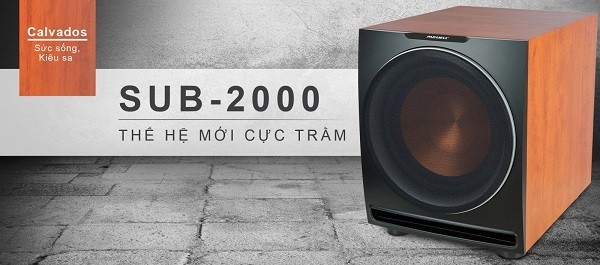 sub điện Paramax 2000 2