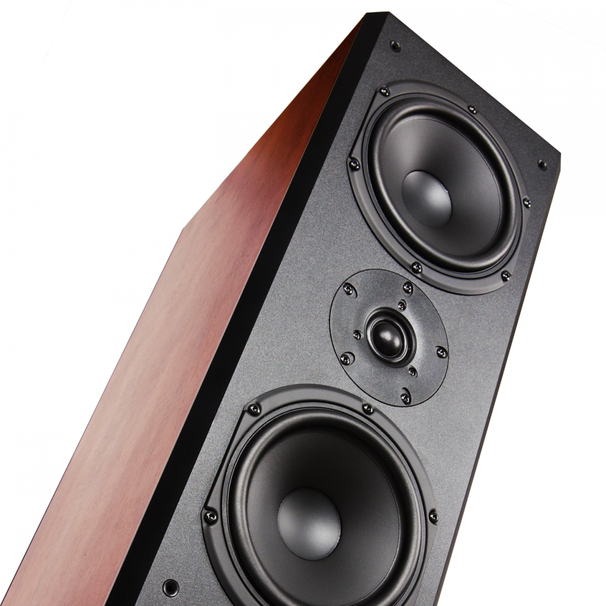 LOA PARAMAX PLATINIUM D88