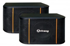 Loa Arirang TSE-T4
