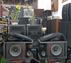 Loa Bose 301 AV Monitor